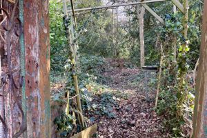 Photo 13- click for photo gallery